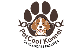 Cavalier King Charles Spaniel - Canil PetCool Kennel